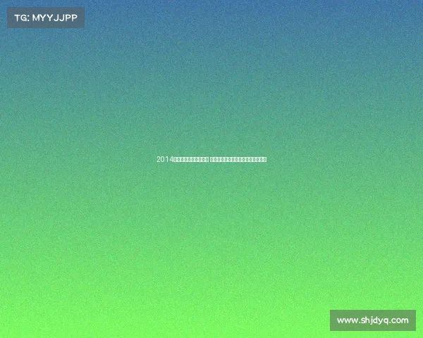 2014年巴西世界杯足球盛宴 德国队加时绝杀阿根廷成就冠军荣耀