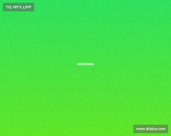 垒球的项目国际赛事是什么